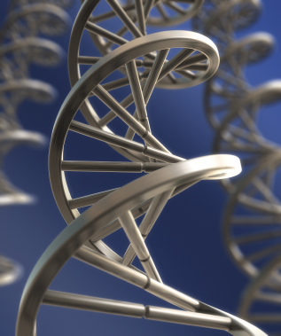 DNA